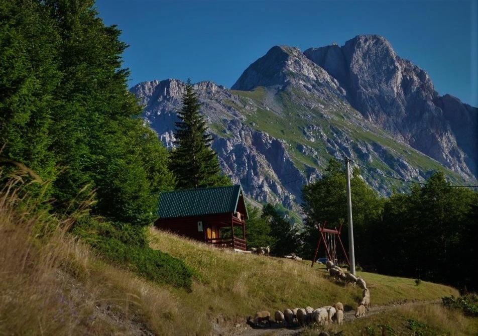 Mountain House Komovi-Radunovic แอนดริเจวิกา ภายนอก รูปภาพ